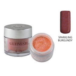 پودر کاشت ناخن آی بی آی مدل Sparkling Burgundy وزن 9 گرم