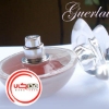 عطر ادکلن گرلن مای اینسولنس | Guerlain My Insolence