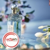 عطر ادکلن گرلن آکوا آلگوریا کوکونات فیز | Guerlain Aqua Allegoria Coconut Fizz