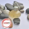 عطر ادکلن آرماند باسی باسی فمه | Armand Basi Basi Femme