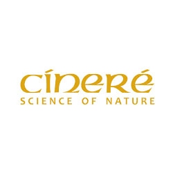 سینره | CINERE