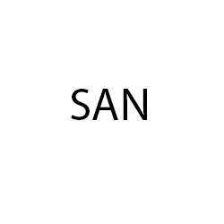 سان | SAN