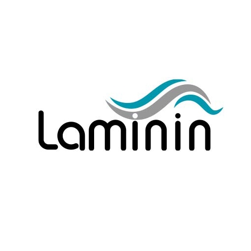 لامینین | laminin