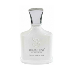 عطر جیبی زنانه و مردانه برندینی مدل Silver Mountain حجم 33 میلی لیتر