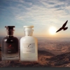 ادوپرفیوم مردانه فالکون MIDORI POUR HOMME رایحه لانوین اسپرت حجم 100 میلی لیتر