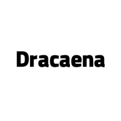 تصویر برای برند: دراسنا | Dracaena